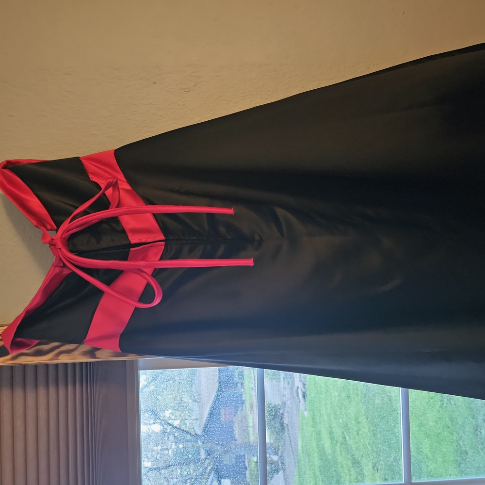Elegant Black and Red Dress